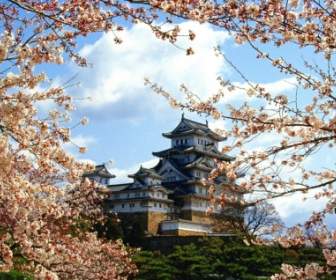 Himeji Jo Castle Hình Nền Thế Giới Nhật Bản