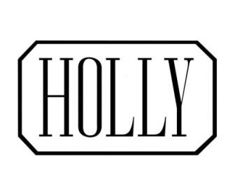 霍利公司