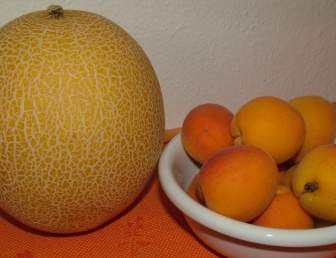 Melon Melon Dan Aprikot