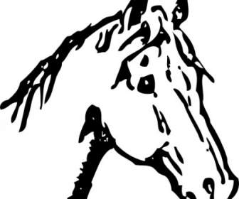 Horse Head Clip Art