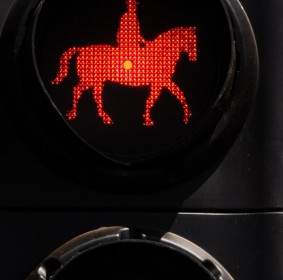 馬のトラフィック ライト