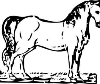 Clipart De Xilogravura De Cavalo