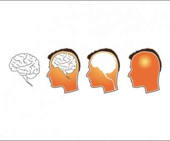 人間の脳のベクトル
