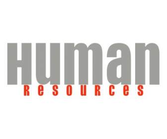 людские ресурсы