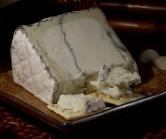 humboldt fog cheese blue mold mold