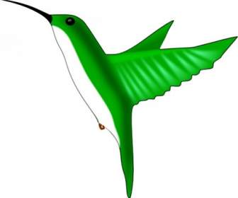 Humming Bird Images Clipart
