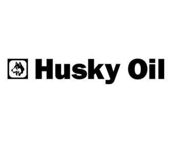 óleo De Husky