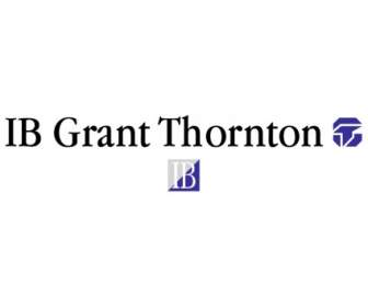 IB Concedere Thornton