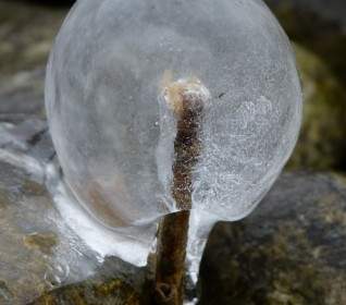 얼음 냉동된 공