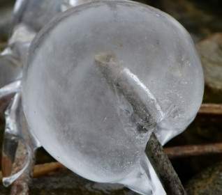 얼음 냉동된 공