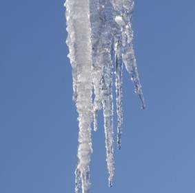 Ice Icicle Cold