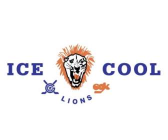 Icecool 狮子