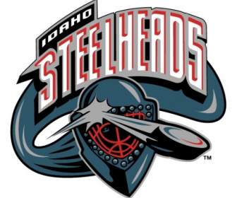 Steelheads De Idaho