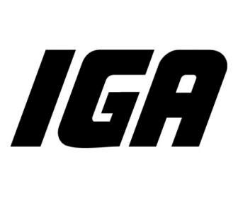 IgA