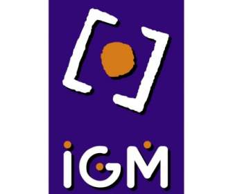 Igm