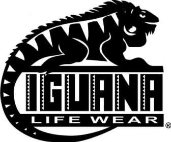 Logotipo De Iguana
