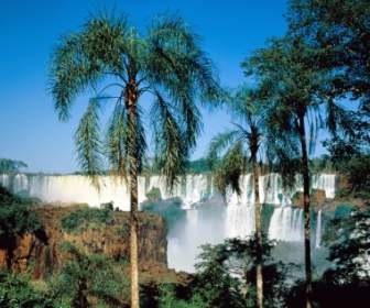 Iguassu Falls Argentina Wallpaper Waterfalls Nature
