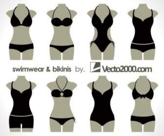 Vector Ilustración De Trajes De Baño Y Bikinis