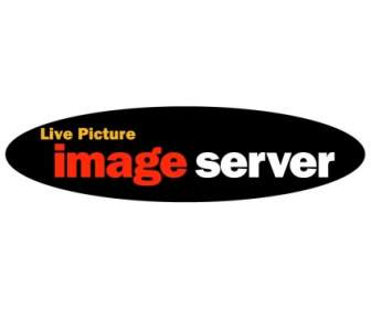 Server Di Immagine