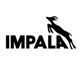 Impala Dapur