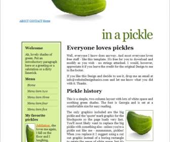 Dans Un Modèle De Pickle