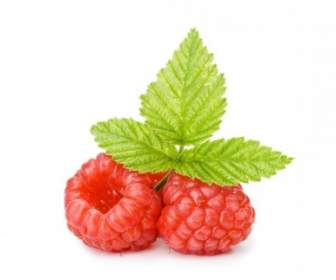 Indian Strawberry Hd Pictures