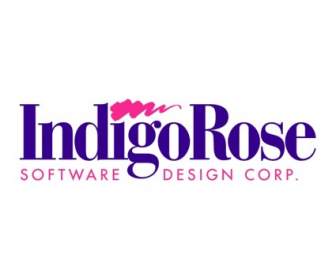 Индиго Роуз