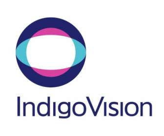 IndigoVision Gruppe