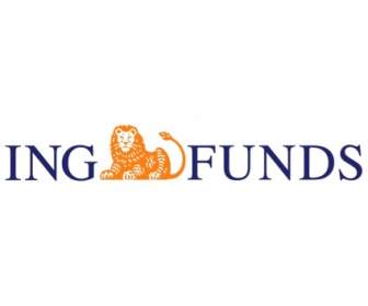 Fondi Ing