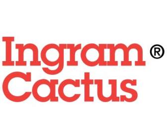 Cactus De Ingram