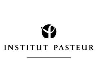 Институт Пастера