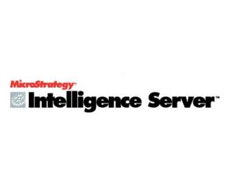 Intelijen Server