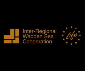 地域ワッデン海協力を間します。