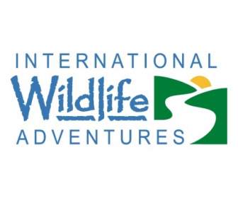 Aventuras De Internacional De Vida Selvagem