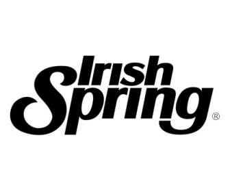 Irischer Frühling