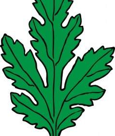 Ivy Leaf Green Chrysanthemum Clip Art