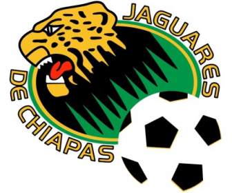 墨西哥恰帕斯州 Jaguares