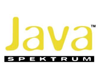 Java Спектрум