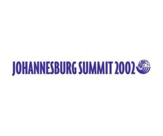 Cumbre De Johannesburgo