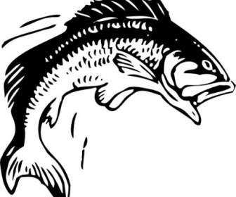 ジャンプ魚のクリップアート