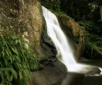 Jungle Waterfall Wallpaper Landscape Nature