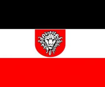جزيدليتز علم ألماني أوستافريكا قصاصة فنية