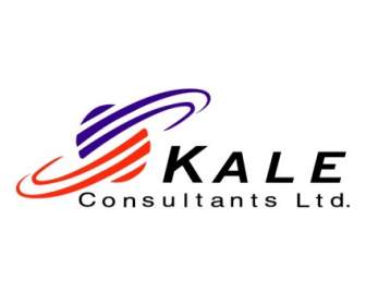 Consultants De Kale
