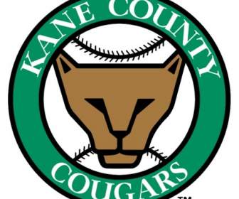 Cougars Du Comté De Kane