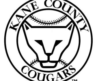 Cougars Du Comté De Kane