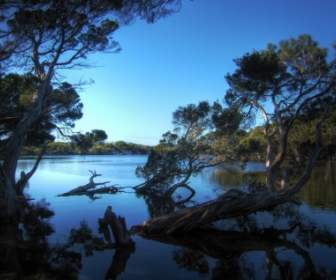 Kangaroo Island Lagoon Wallpaper Landscape Nature