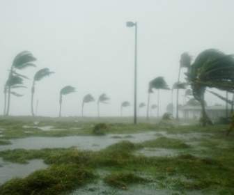 كي وست فلوريدا إعصار دينيس