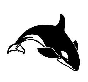 ناقل الحوت القاتل