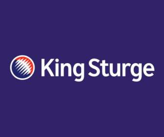 国王 Sturge