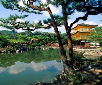 Kinkaku Ji Rozciągacz Kioto Tapeta Japonii świata